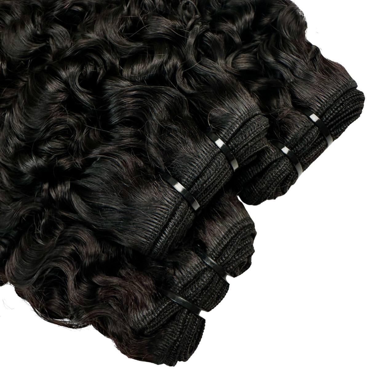 Burmese Bouncy Curly