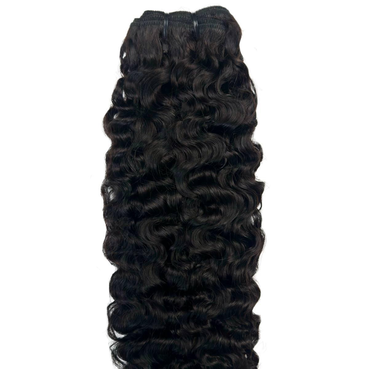 Burmese Bouncy Curly