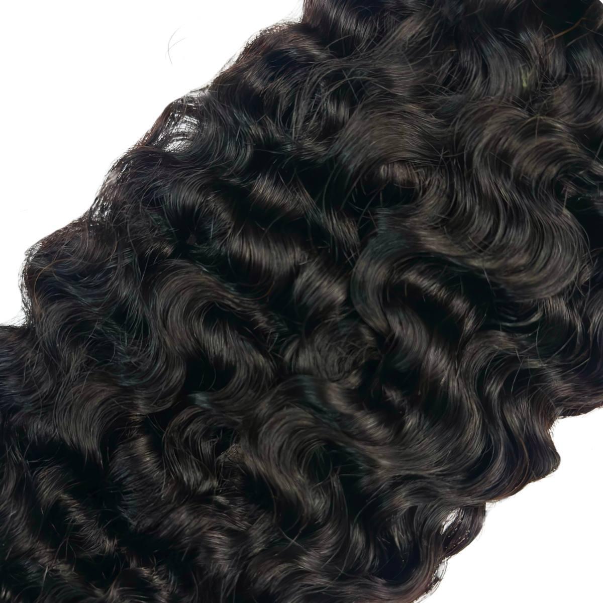 Burmese Bouncy Curly