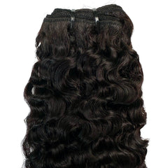 Burmese Bouncy Curly