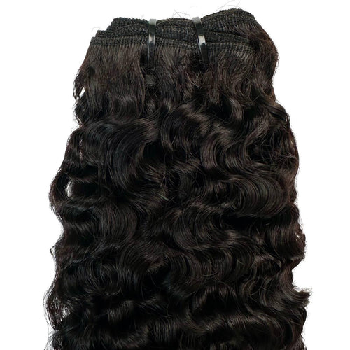 Burmese Bouncy Curly